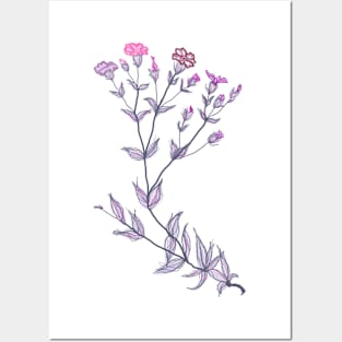 WILD CARNATIONS Posters and Art